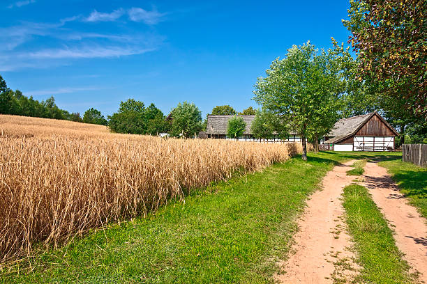 Oil landscape painting showing farm on a sunny summer day.