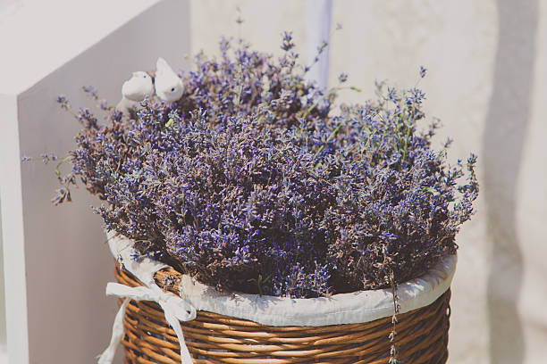 istock basket with lavender flowers 480956360