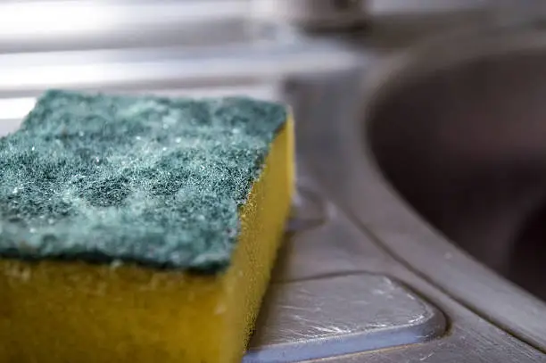 A kitchen sponge/scouring pad.