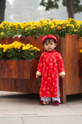 Portrait of a little girl in vietnamese traditonal dress
