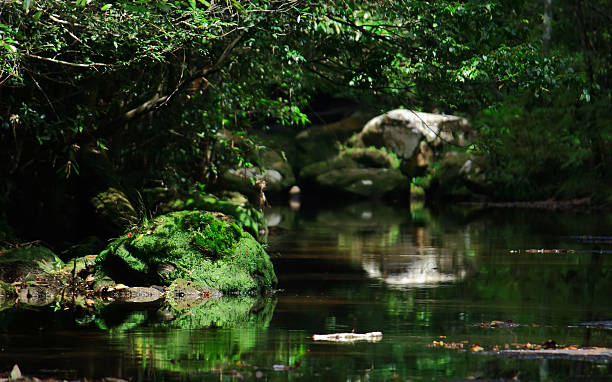 istock green rock in the water 480959219