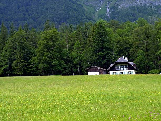 paisaje de los alpes-alpine escena rural - alm bavaria mountain summer fotografías e imágenes de stock