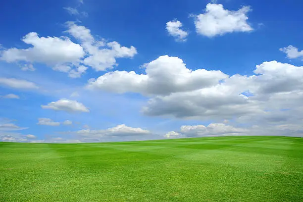 Photo of Grass field