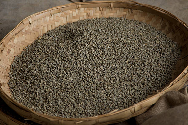 istock Unripened green coffee beans on a straw tray 480964342