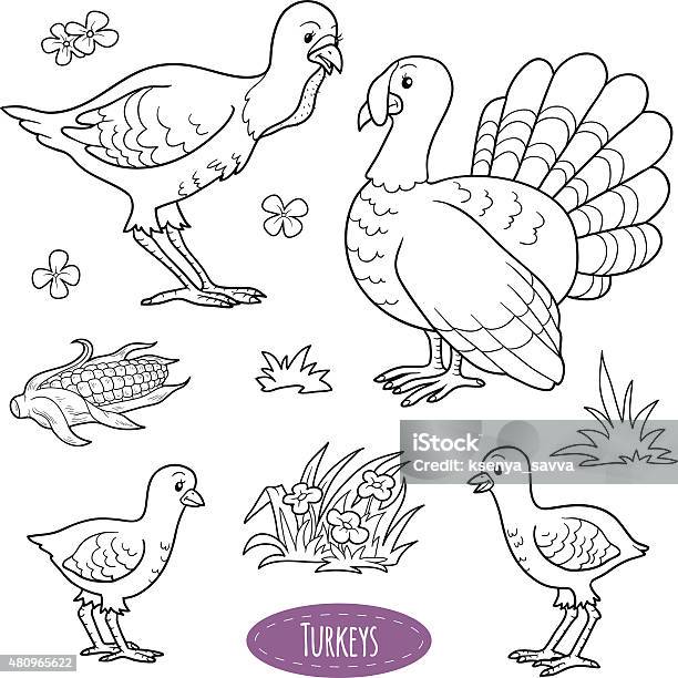 Set Of Cute Farm Animals And Objects Vector Family Turkeys Stock Illustration - Download Image Now
