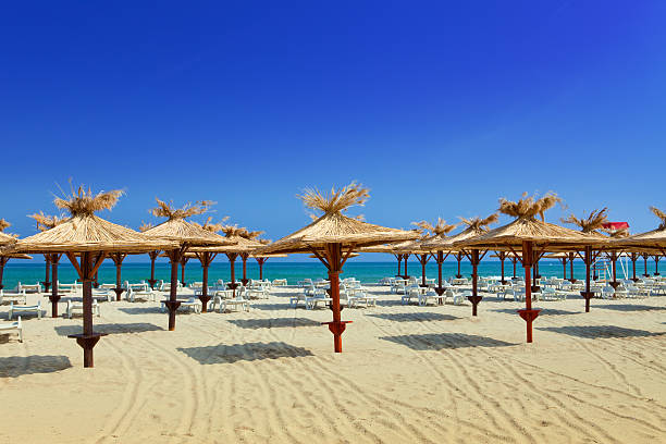 istock Deserted beach and beachs umbrellas 480965836
