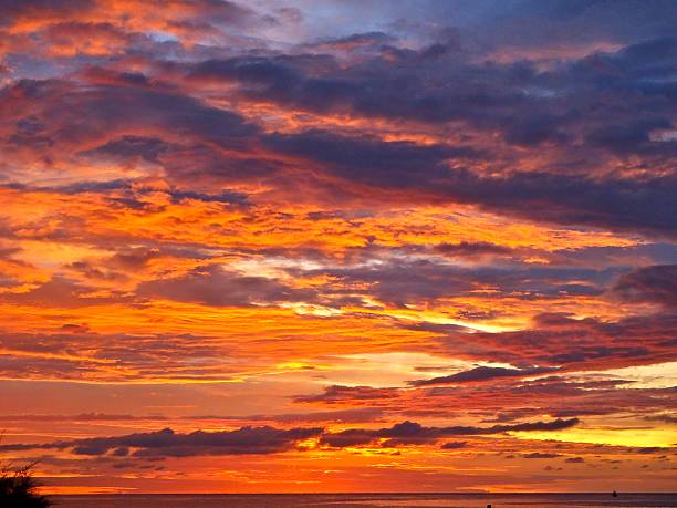 Sunset in Borneo stock photo