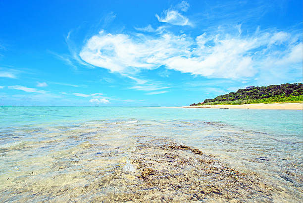 istock White clouds and beautiful reef, Okinawa, Japan 480968836