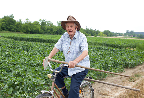 Senior peasant riding a bicycle with hoe in hand in the fertile land