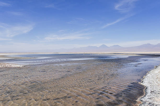 istock Salt flat of Atacama (Chile) 480969005