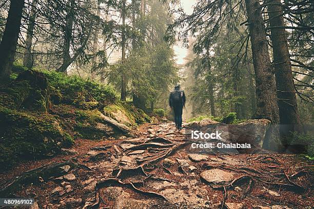 Traveler In Mountains Stock Photo - Download Image Now - Forest, Rain, Hiking