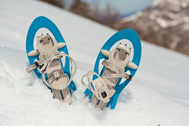 istock Blue Snowshoes on the Snow 480972809