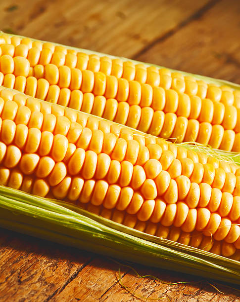 istock Fresh juicy organic corn, close up 480974590