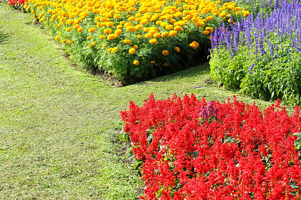 istock Flower gardens in Thailand 480975113