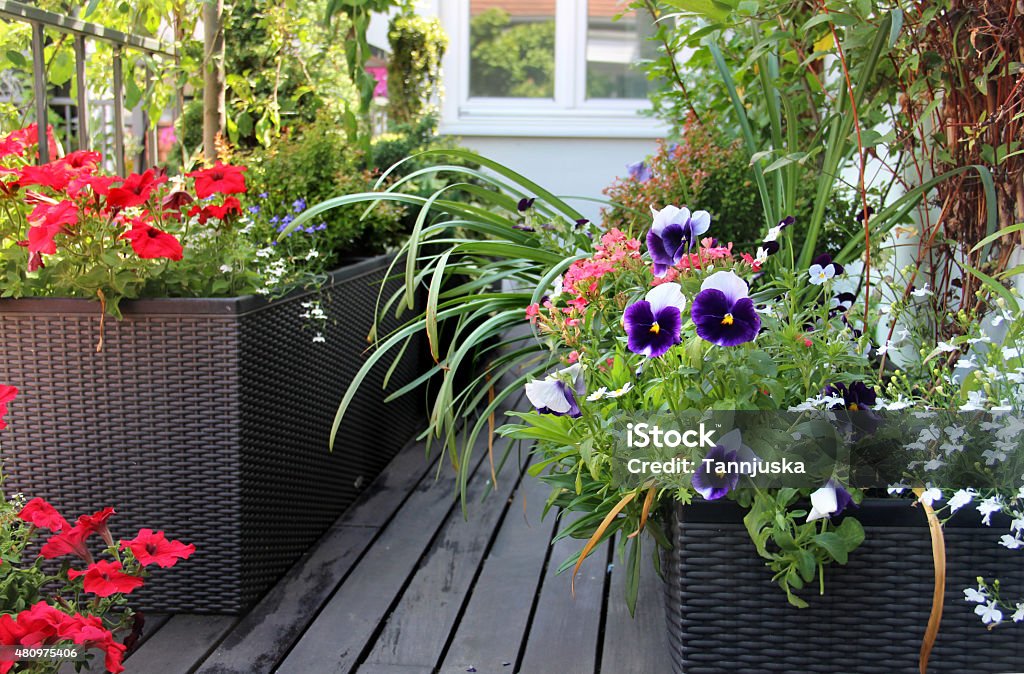 Beautiful modern terrace with mix of summer flowers Beautiful modern terrace with seasonal summer flowers Balcony Stock Photo