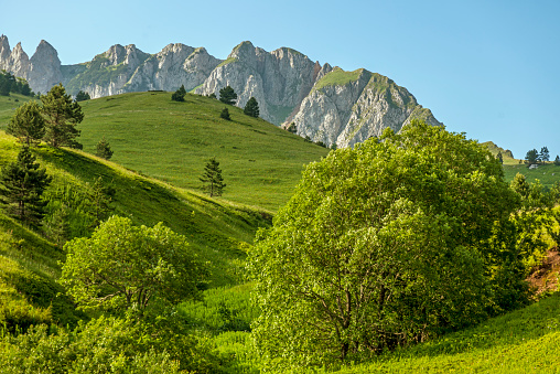 Mountain peeks and meadows of national park Sutjeska, mountain Zelengora.