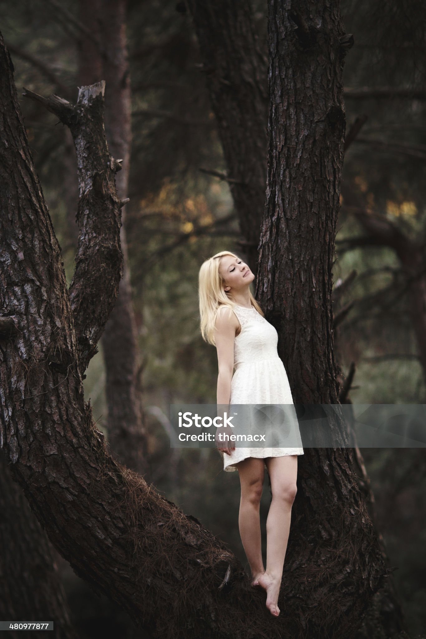 https://media.istockphoto.com/id/480977877/photo/beautiful-girl-in-a-forest-on-tree.jpg?s=2048x2048&amp;w=is&amp;k=20&amp;c=68Yi0U84fU_68MEcy0ght_iS9JV41jOgL2YEM_IDI-o=