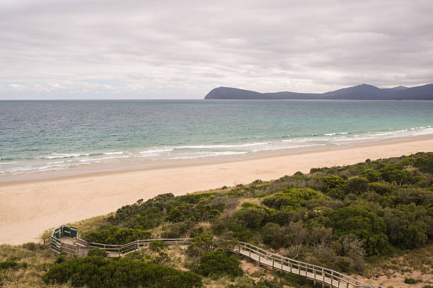 istock The Spit Lookout - Bruny Island 480980770