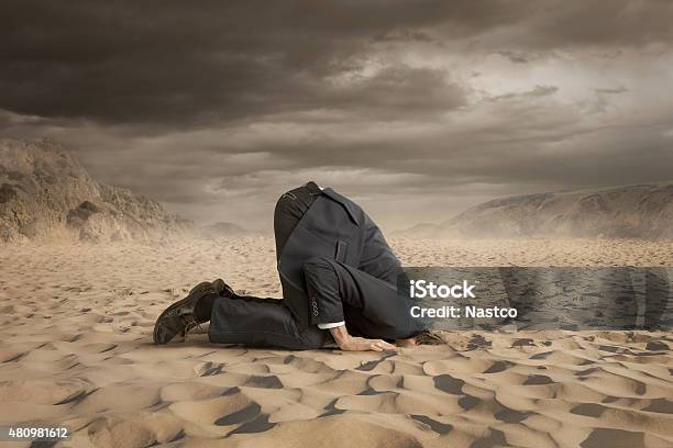 Crisis Stock Photo - Download Image Now - Head in the Sand, Humor, Ostrich
