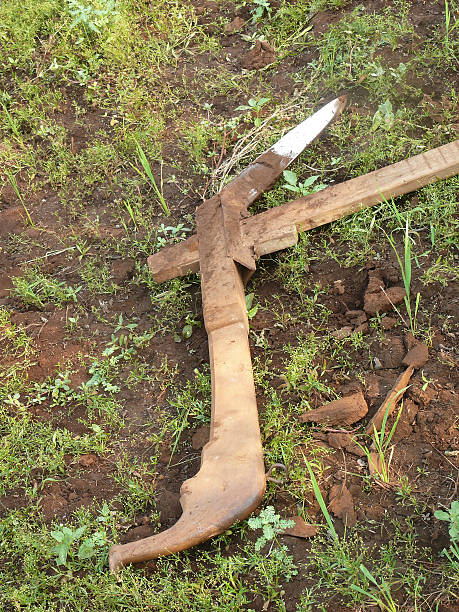 istock traditional Plough at farms india 480983131
