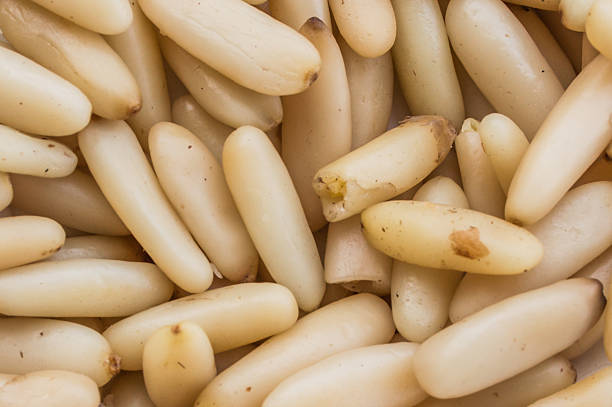 Pine kernel closeup stock photo