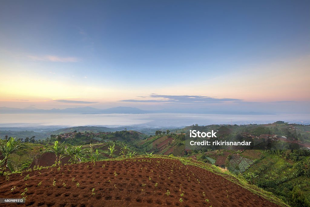 Drammatica alba dalla cima della collina - Foto stock royalty-free di Agricoltura