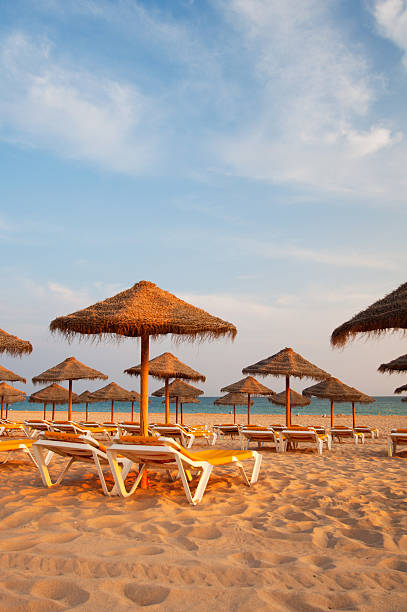 istock Empty deck loungers in the beach at sunset. 480989769