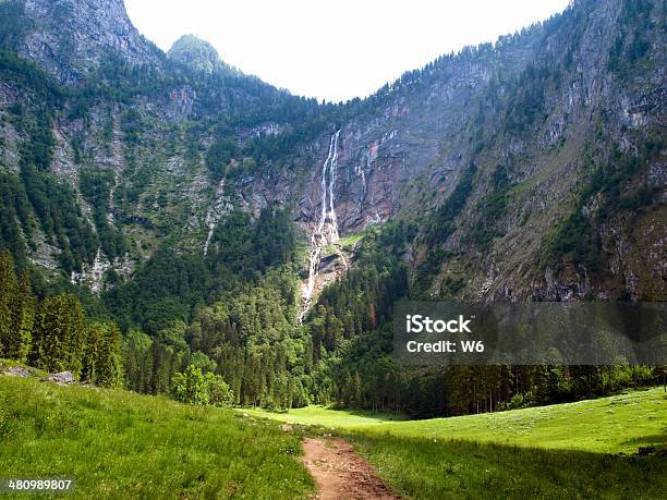Wasserfall In Den Alpen Stockfoto und mehr Bilder von Alpen - Alpen, Baum, Bayerische Alpen