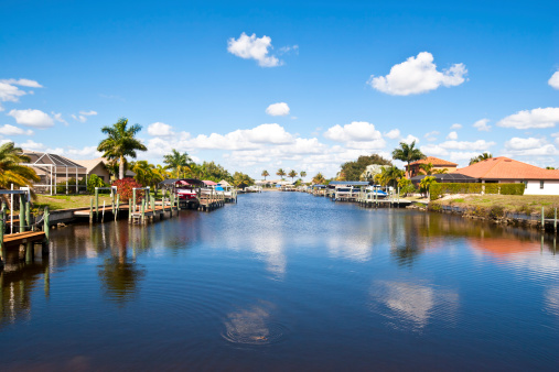 Homes at a freshwater canal with a swimming alligator (at the bottom center) in southern Florida,USA.