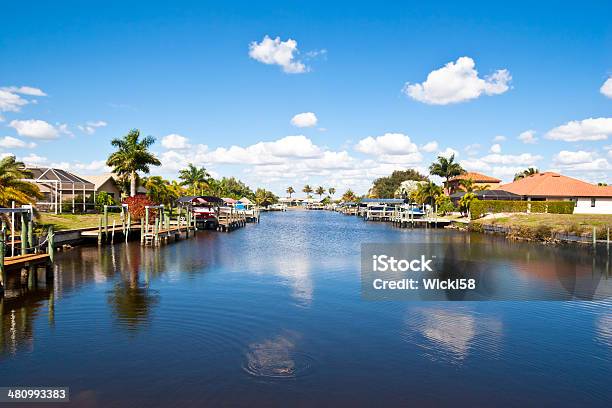Homes At A Tropical Freshwater Canal With An Alligator Stock Photo - Download Image Now