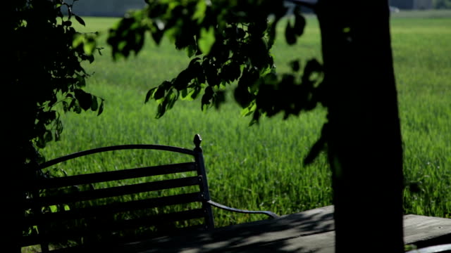 Bench - Stock Footage