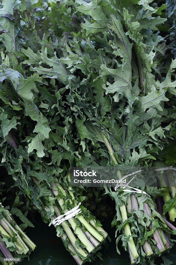 Close-up of Organic Kale at Farmer's Market Close-up of organic red russian kale on dispaly at Farmer's Market. Agriculture Stock Photo