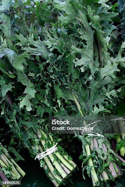 Closeup Of Organic Kale At Farmers Market Stock Photo - Download Image Now - Agriculture, Bundle, Cabbage