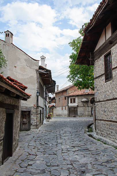 istock View of paved walkway with traditional bulgarian architecture 481003183