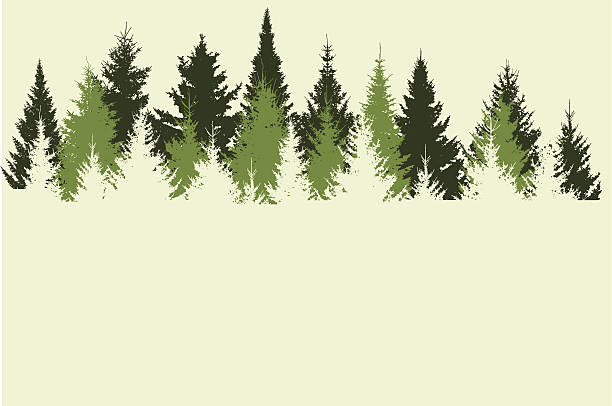 forest file_thumbview_approve.php?size=1&id=23566757 pine trees silhouette stock illustrations