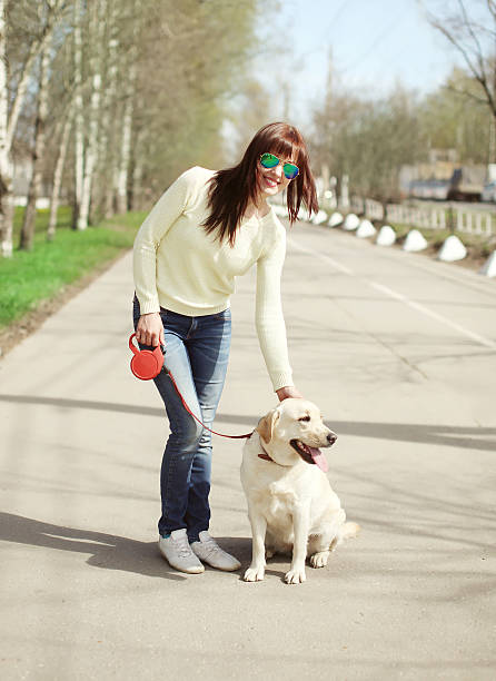 istock Happy owner and labrador retriever dog outdoors walking in summe 481005914