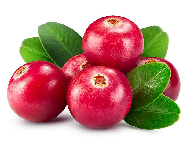 preiselbeeren - cranberry stock-fotos und bilder