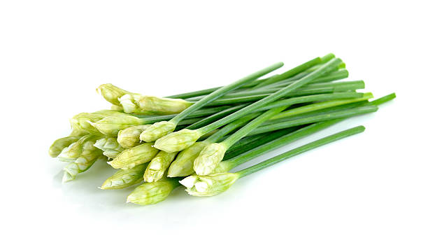 istock Chives flower or Chinese Chive isolated on white background 481006226