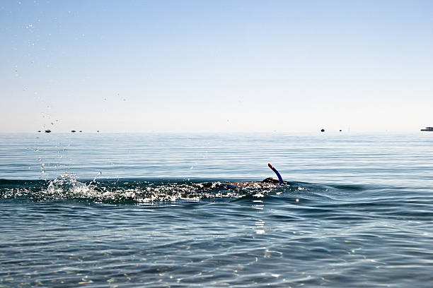 istock Young man swimming with mask and pipe 481006289