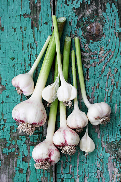 Fresh garlic, top view stock photo