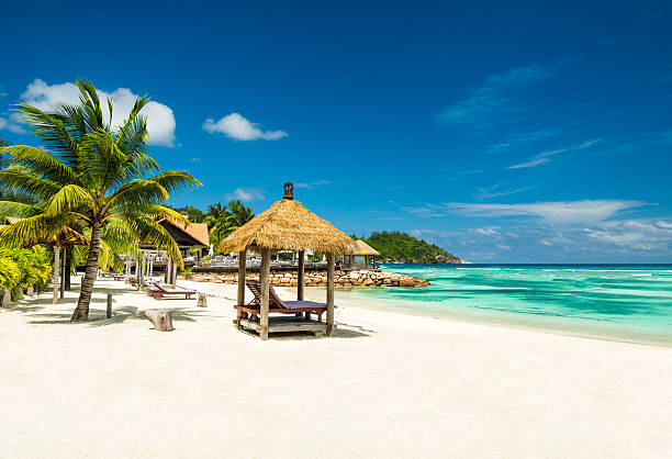 istock beach beds with roof and turquoise sea 481006637