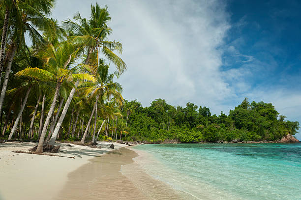 istock Potil Island, Indonesia 481008959