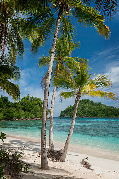 istock Potil Island, Indonesia 481008987