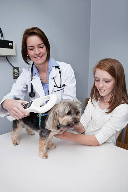 Microchip Reader Stock Photo - Download Image Now - Dog, Computer Chip, Pets - iStock Microchip Reader Stock Photo - Download Image Now - Dog, Computer Chip, Pets - iStock