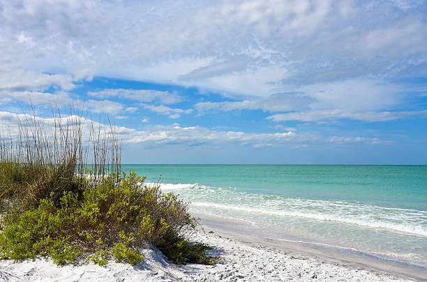 아름다운 플로리다 해안선 - sand beach sand dune sea oat grass 뉴스 사진 이미지