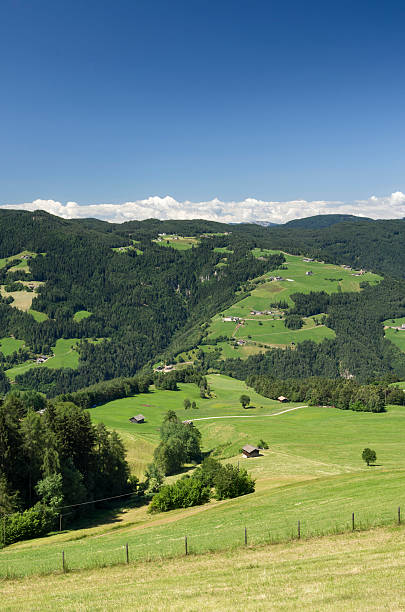 istock Rural Landscape in South Tyrol (Bolzano) 481014469