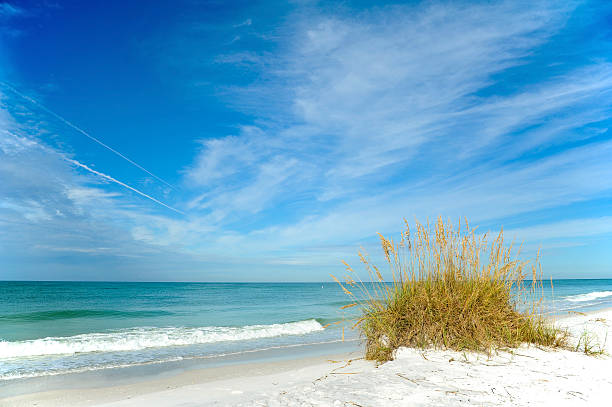 splendida costa della florida - sand beach sand dune sea oat grass foto e immagini stock