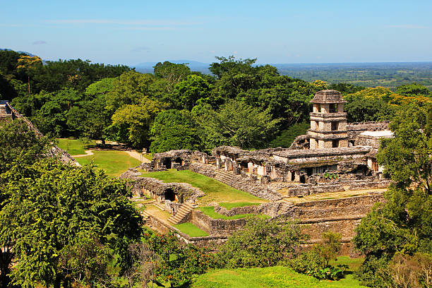 istock Palenque, Mexico. The Palace Observation Tower 481016291