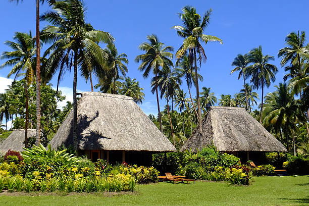 Traditional bure with thatched roof, Vanua Levu island, Fiji stock photo