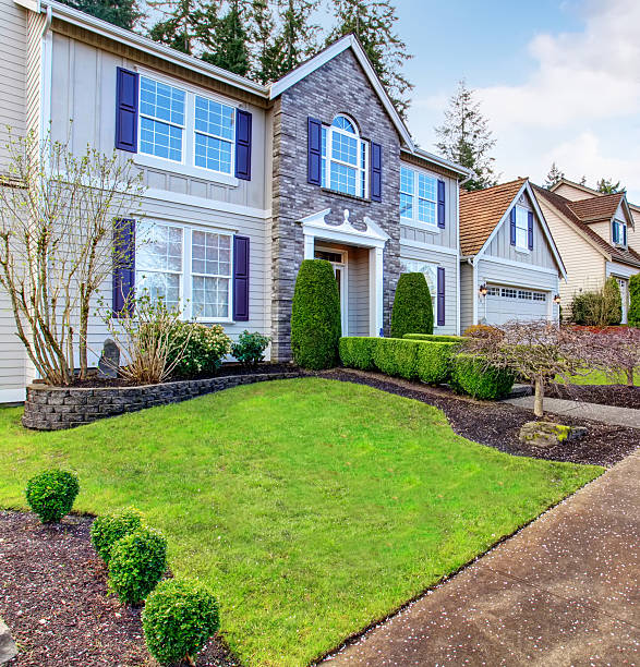 istock State of the art home with blue theme and grass. 481019402